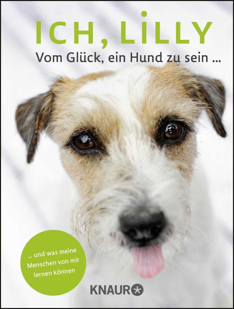 Ich, Lilly main product photo