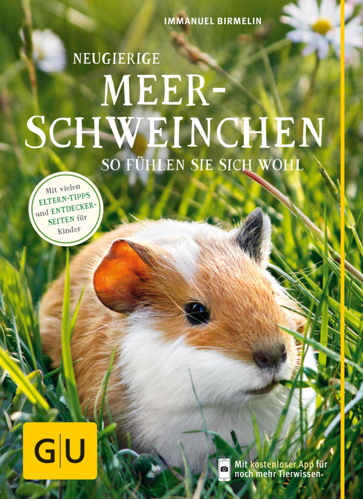 Neugierige Meerschweinchen main product photo
