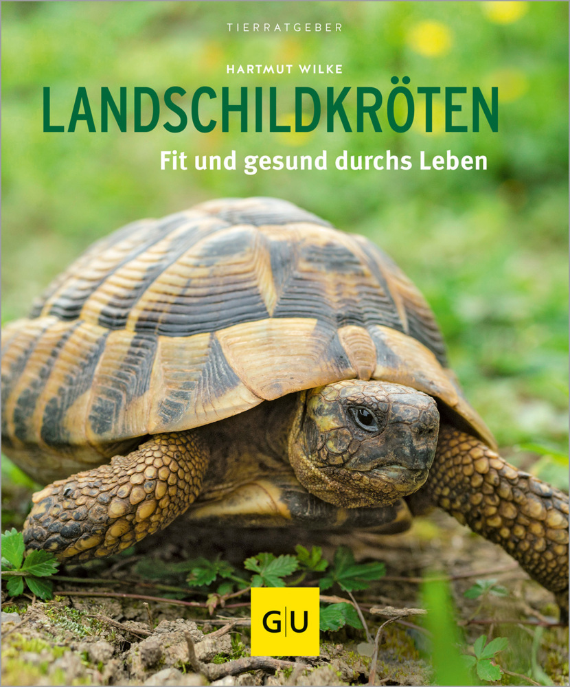 Landschildkröten main product photo