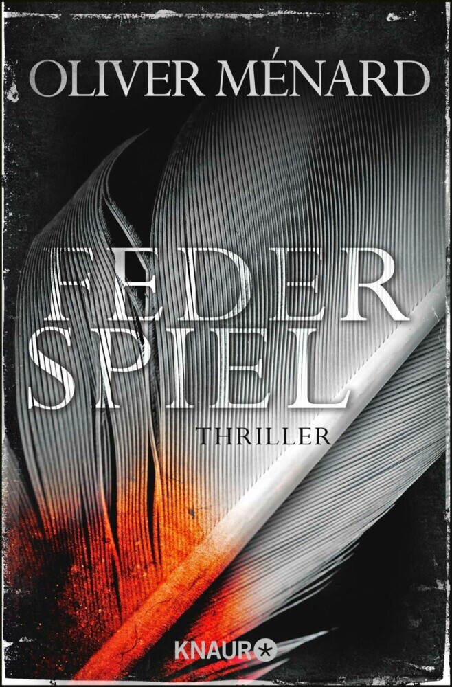 Federspiel main product photo