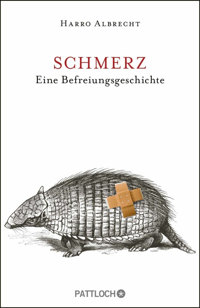 Schmerz main product photo