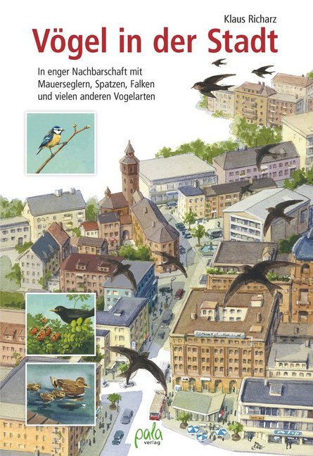 Vögel in der Stadt main product photo