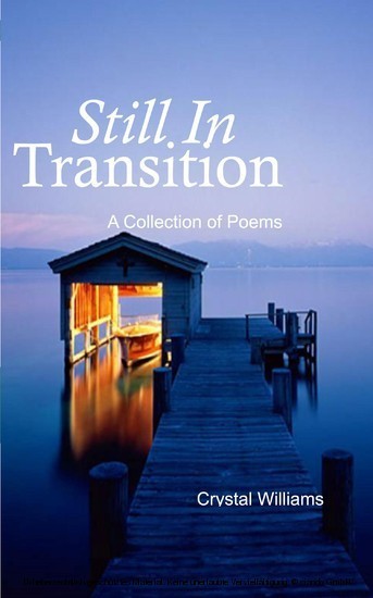 Still in Transition main product photo