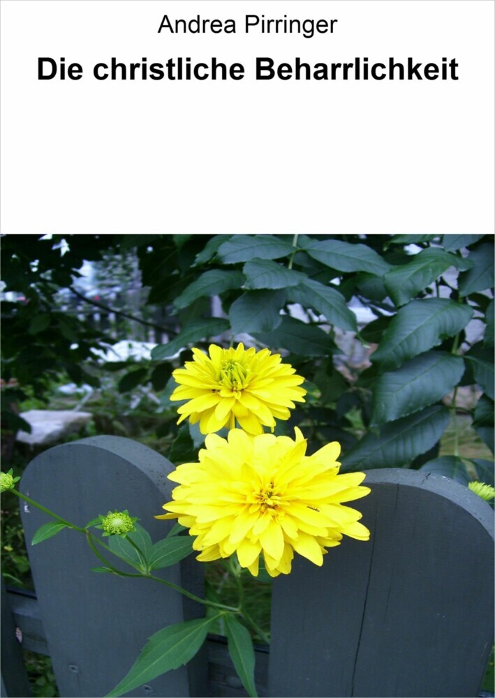 Die christliche Beharrlichkeit main product photo