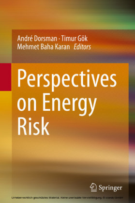 Perspectives on Energy Risk