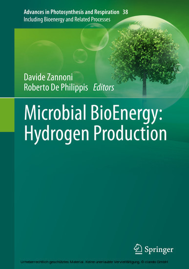 Microbial BioEnergy: Hydrogen Production main product photo