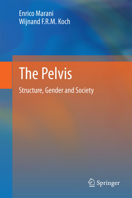 The Pelvis main product photo