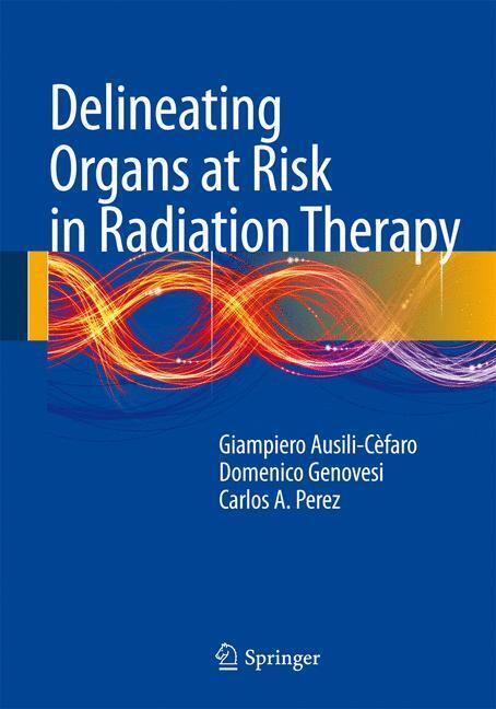 Delineating Organs at Risk in Radiation Therapy main product photo