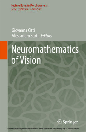 Neuromathematics of Vision