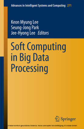 Soft Computing in Big Data Processing