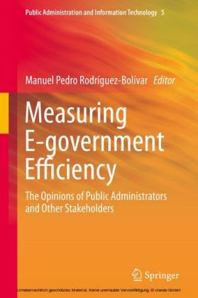 Measuring E-government Efficiency