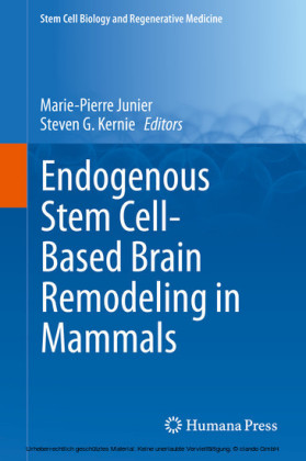 Endogenous Stem Cell-Based Brain Remodeling in Mammals