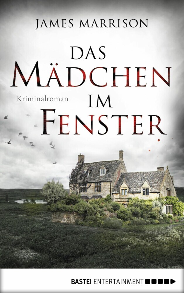 Das Mädchen im Fenster main product photo