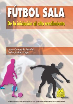 Fútbol sala