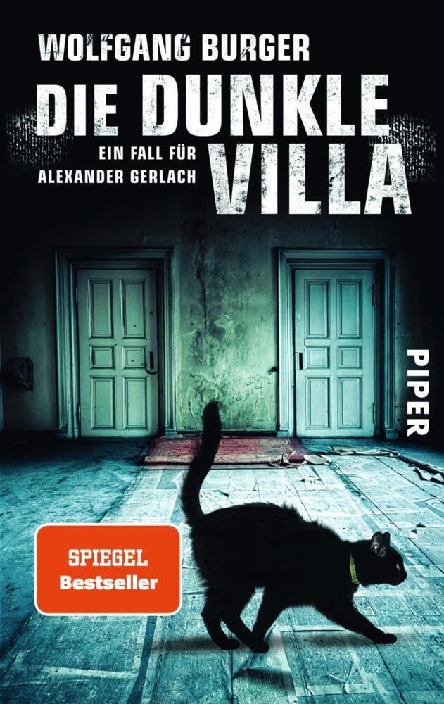 Die dunkle Villa main product photo