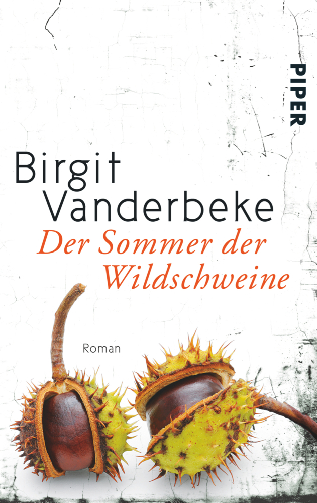 Der Sommer der Wildschweine main product photo