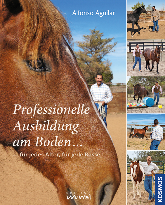 Professionelle Ausbildung am Boden main product photo