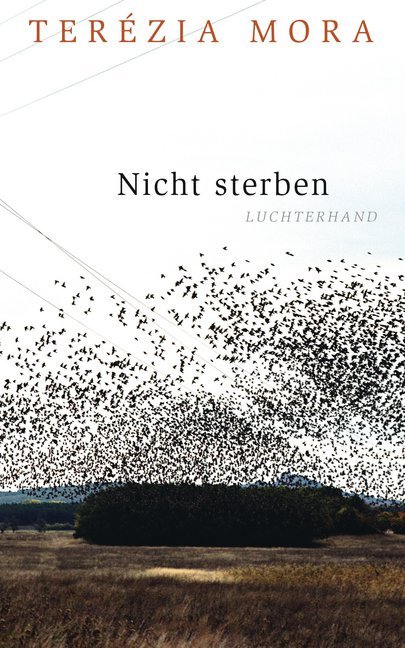 Nicht sterben main product photo