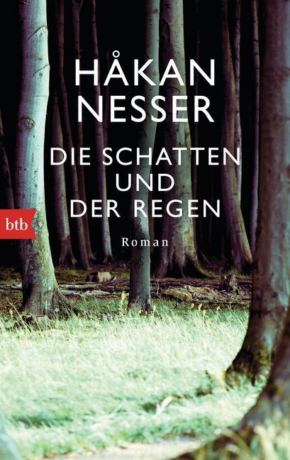 Die Schatten und der Regen main product photo