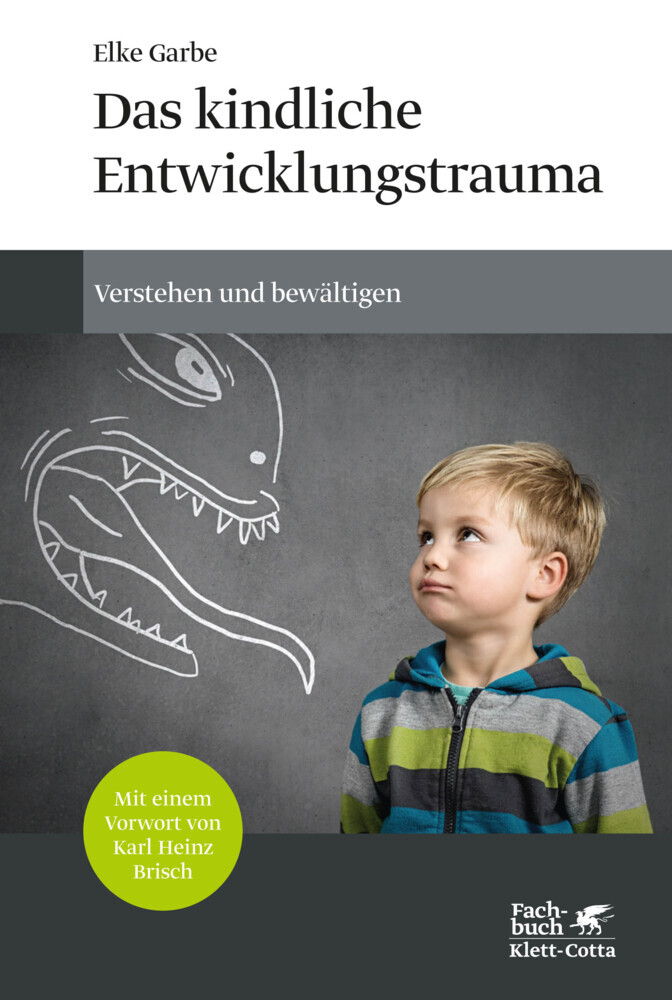 Das kindliche Entwicklungstrauma main product photo