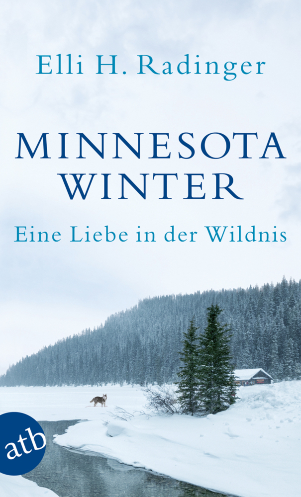 Minnesota Winter main product photo