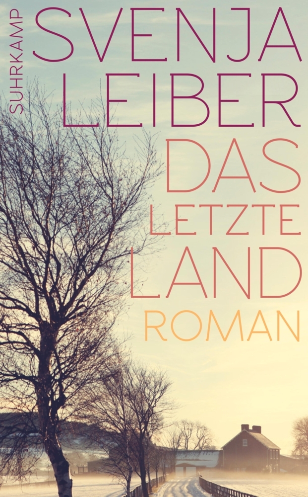 Das letzte Land main product photo
