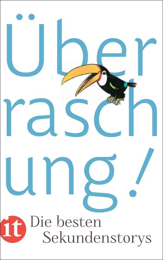 Überraschung! main product photo