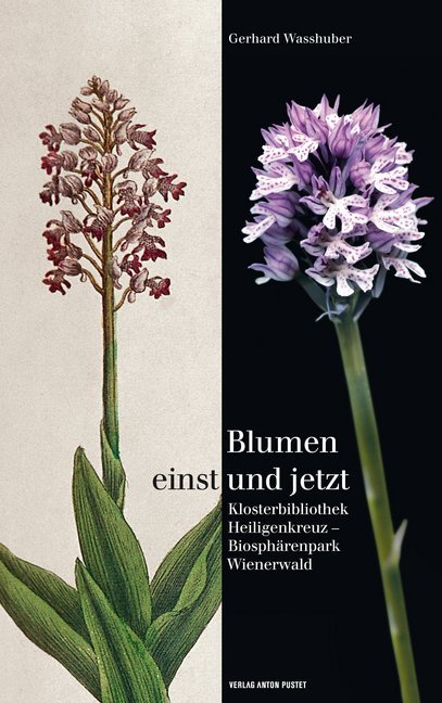 Blumen einst und jetzt main product photo