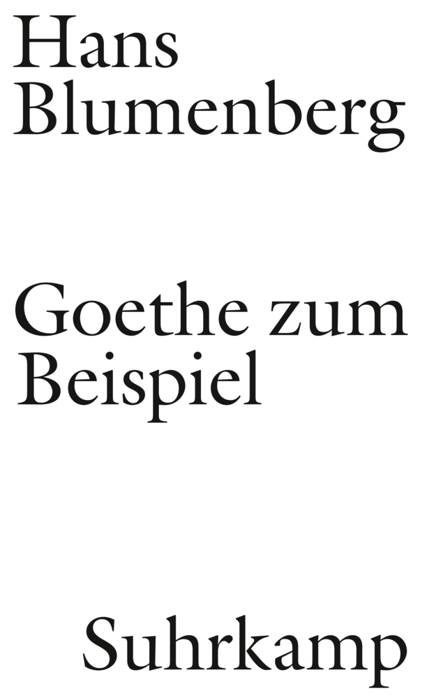 Goethe zum Beispiel main product photo