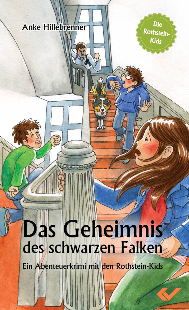 Die Rothstein-Kids - Das Geheimnis des schwarzen Falken main product photo