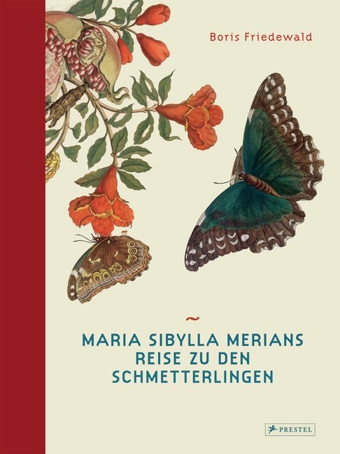 Maria Sibylla Merians Reise zu den Schmetterlingen main product photo
