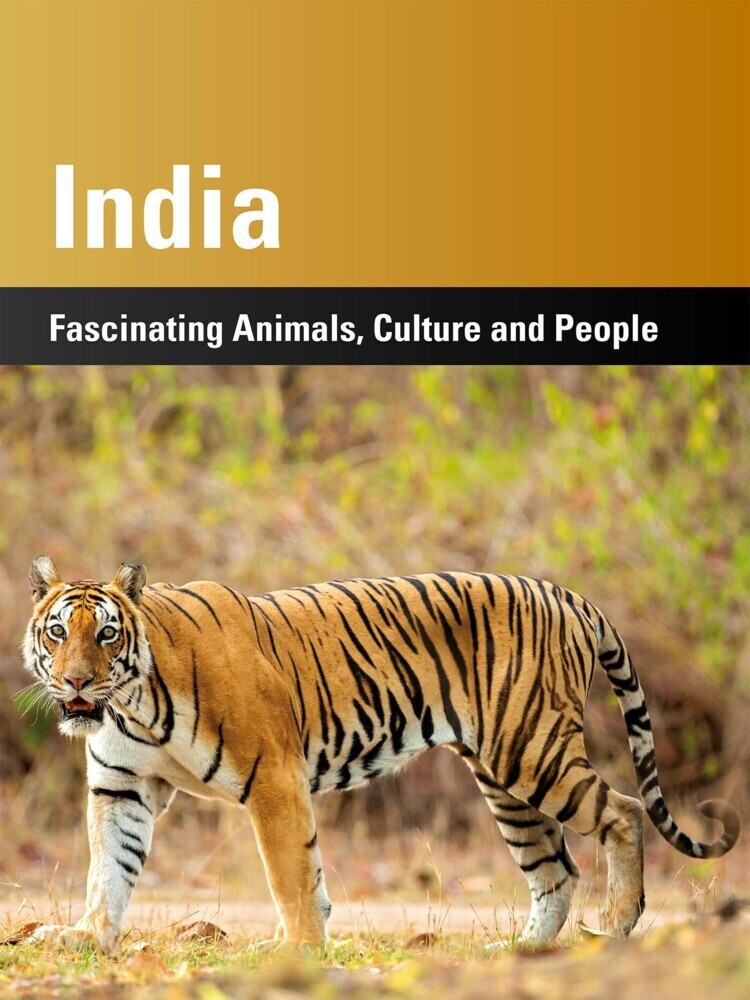 India main product photo
