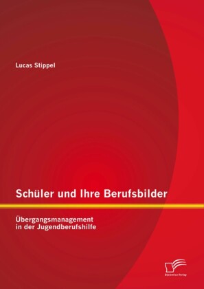 Schüler und Ihre Berufsbilder: Übergangsmanagement in der Jugendberufshilfe