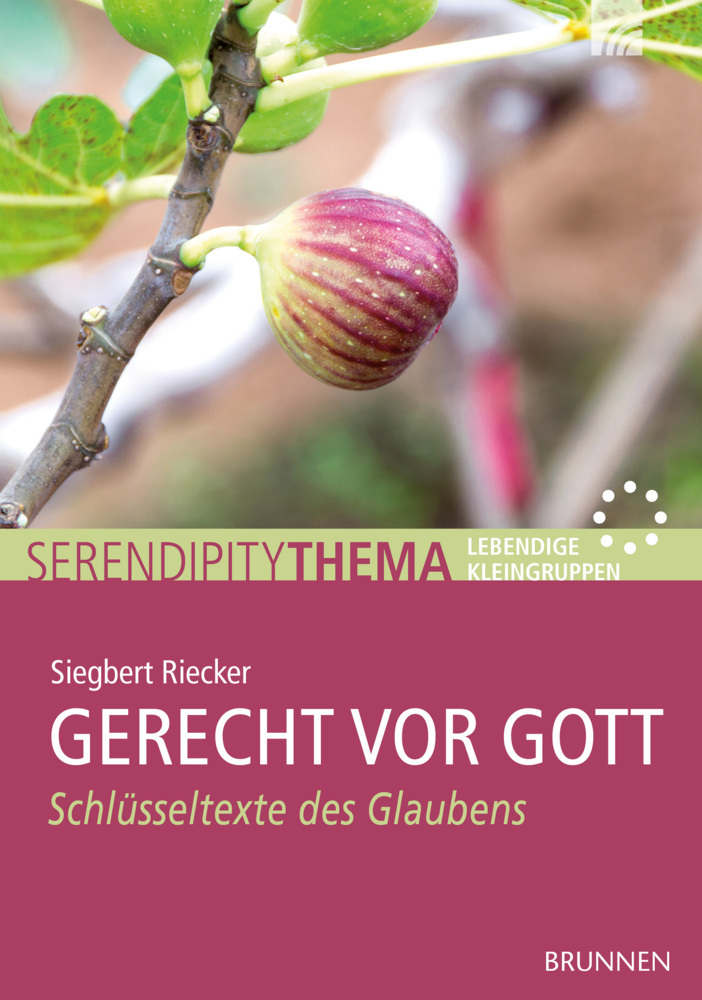 Gerecht vor Gott main product photo