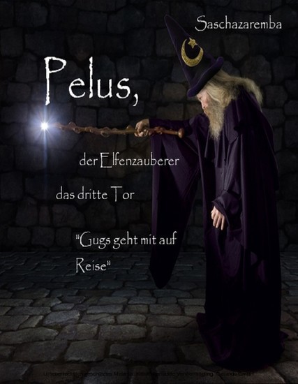 Pelus der Elfenzauberer Das dritte Tor main product photo