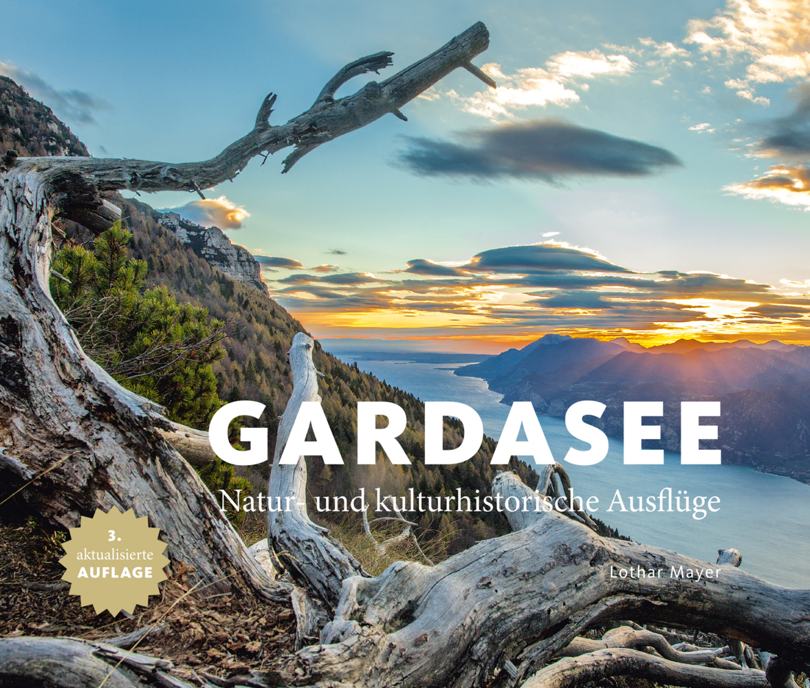 Gardasee main product photo