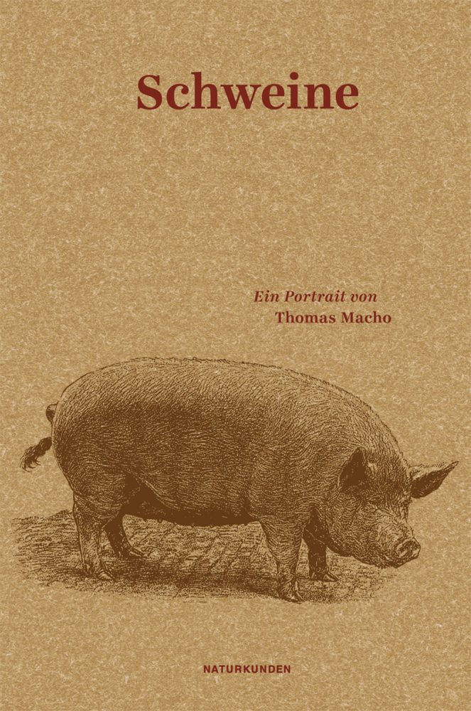 Schweine main product photo