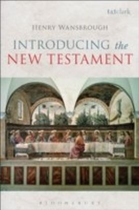 Introducing the New Testament main product photo