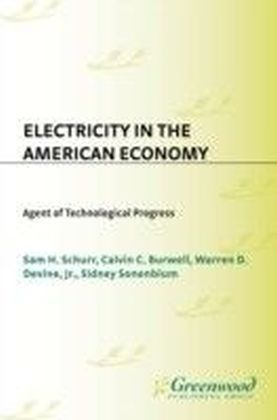 Electricity in the American Economy: Agent of Technological Progress