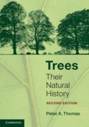 Trees main product photo