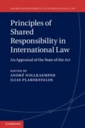 Principles of Shared Responsibility in International Law main product photo