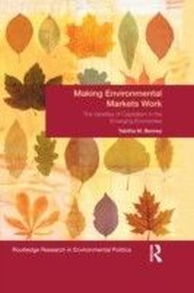 Making Environmental Markets Work