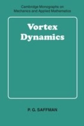 Vortex Dynamics