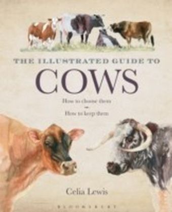 Illustrated Guide to Cows