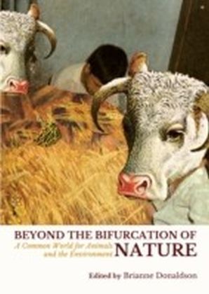 Beyond the Bifurcation of Nature
