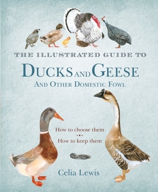 Illustrated Guide to Ducks and Geese and Other Domestic Fowl main product photo