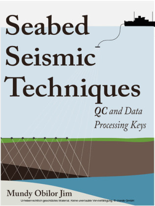 Seabed Seismic Techniques