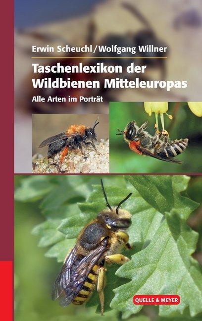 Taschenlexikon der Wildbienen Mitteleuropas main product photo