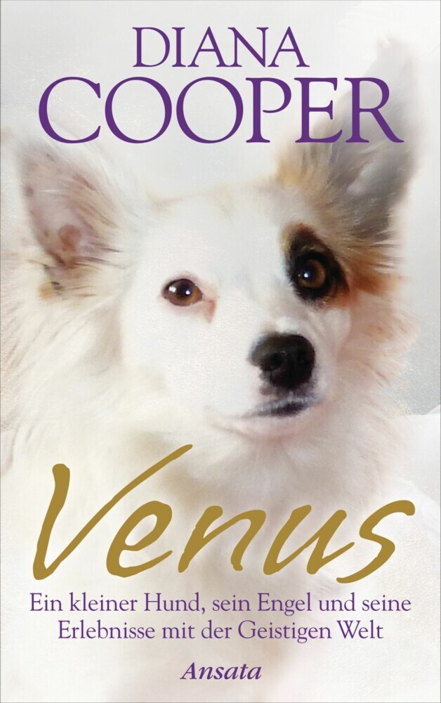 Venus main product photo