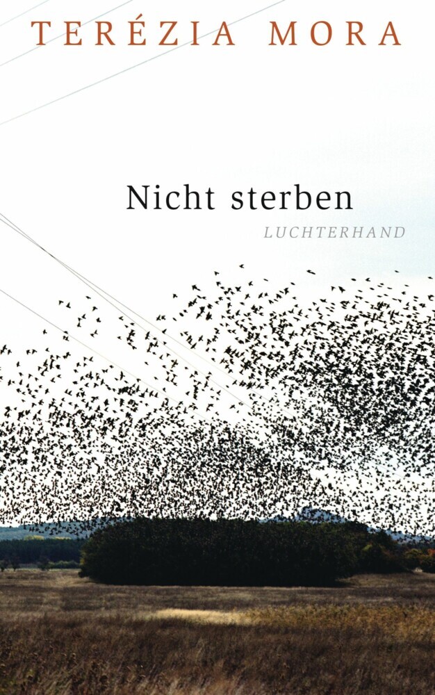 Nicht sterben main product photo